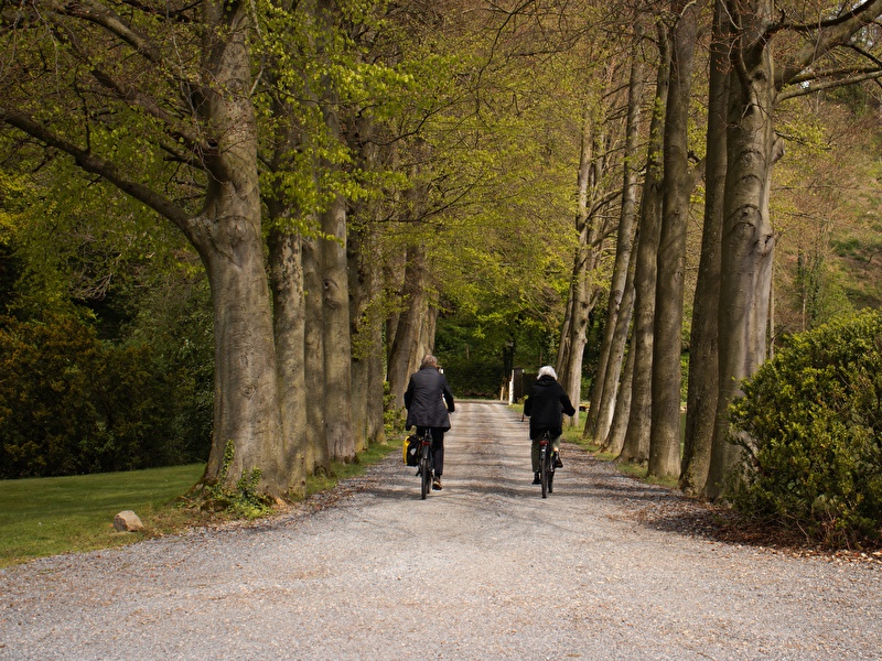 Découvrez le cœur de la région de Voer